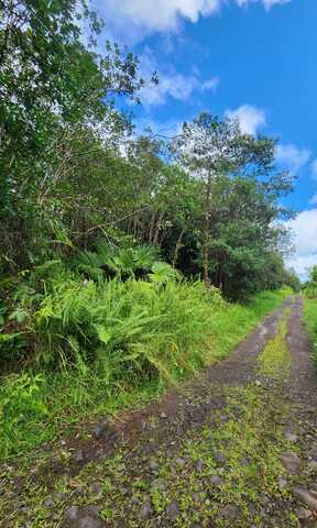 ROAD 9 (KOLOA MAOLI), Mountain View, HI 96760