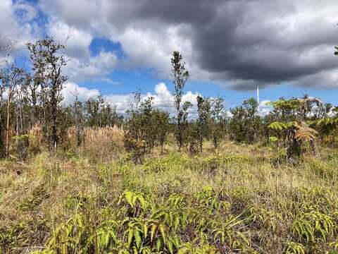 OMEKA RD, Volcano, HI 96785
