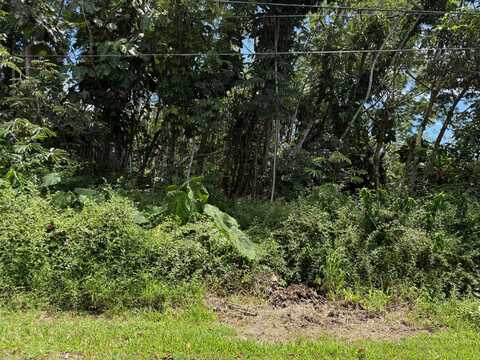 OIO ST, Pahoa, HI 96778