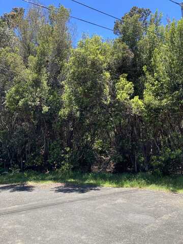 99-7811 KANONI PL, Volcano, HI 96785