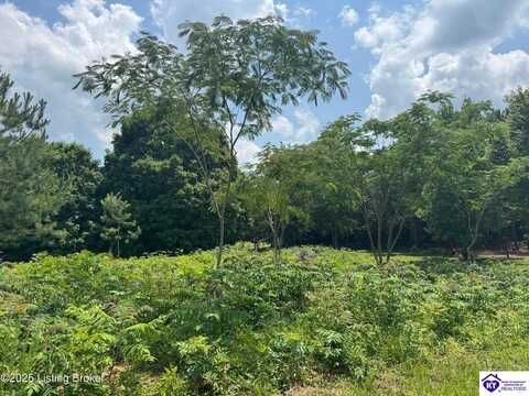 528 Muskie Way, Scottsville, KY 42164