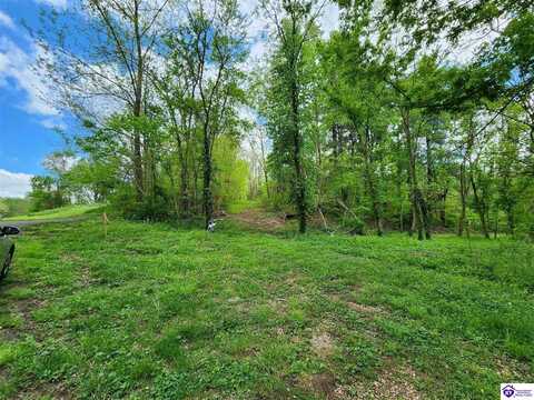 0000 Rineyville Big Springs Road, Rineyville, KY 40162
