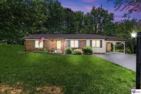 401 Embry Villa Drive, Leitchfield, KY 42754