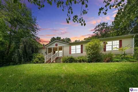 154 Wildflower Lane, Vine Grove, KY 40175