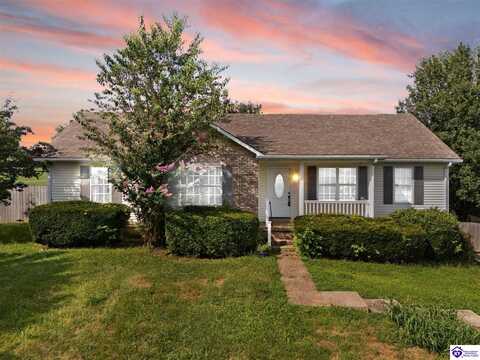 198 Cecilia Smiths Mill Road, Cecilia, KY 42724