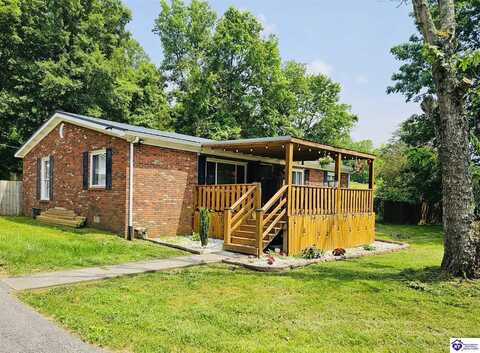 94 Buckhorn Ln, Leitchfield, KY 42754