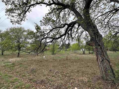 Lot 160 Driftwood Ln, Cottonwood Shores, TX 78657