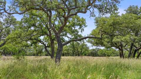997 Sandy Oaks Ranch Road, Johnson City, TX 78636