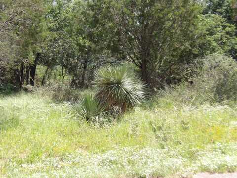 Lots 352 & 353 Rosehill, Granite Shoals, TX 78654