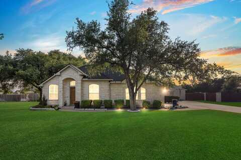 313 Polo Pony, Liberty Hill, TX 78642