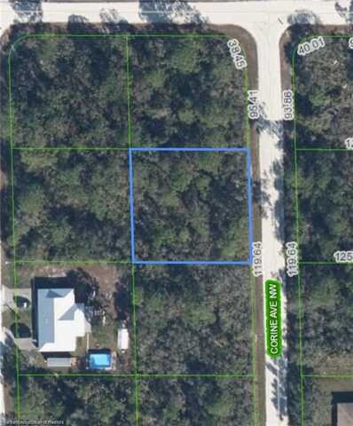 109 Corine Avenue NW, Lake Placid, FL 33852