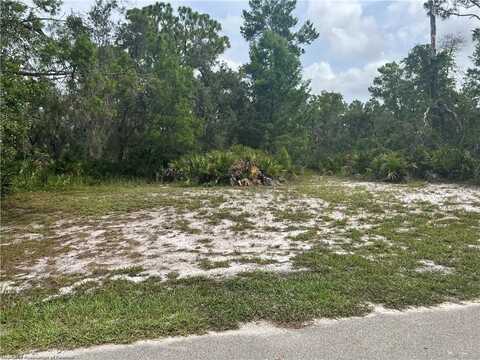 3259 Forrest View Avenue, Lake Placid, FL 33852
