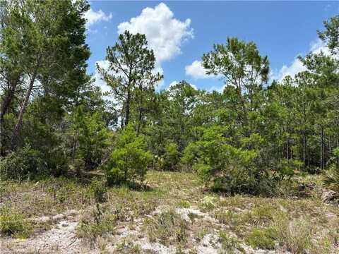 1110 Viburnum Drive, Sebring, FL 33875