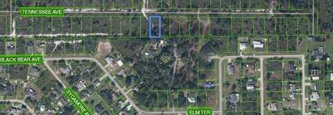 579 Tennessee Avenue, Lake Placid, FL 33852