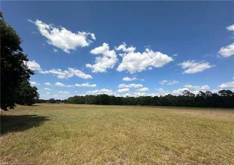 0 Hollandtown Road, Wauchula, FL 33873