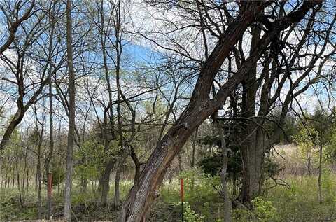 S Roosevelt Street, Spring Hill, KS 66083