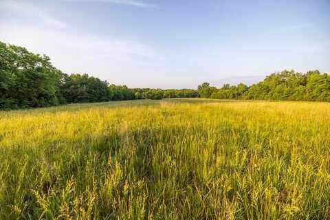 93 SW 1250 Road, Chilhowee, MO 64733