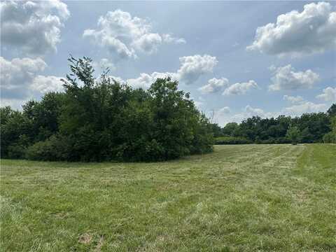 to be determined 58 Highway, Centerview, MO 64019