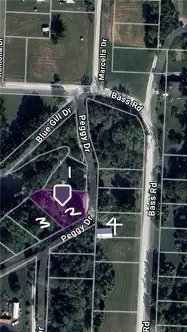 7693 Peggy Drive, Odessa, MO 64076