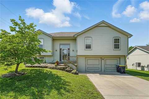 901 NE 116th Terrace, Kansas City, MO 64155