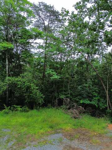 LOT 9 LOOKOUT DR, SHENANDOAH, VA 22849