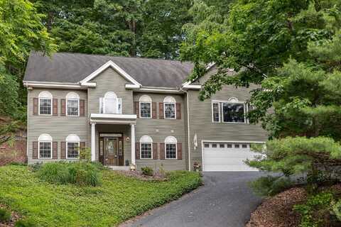2226 LANIER LN, MCGAHEYSVILLE, VA 22840