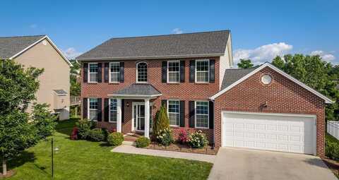 110 JILLIAN LN, PENN LAIRD, VA 22846