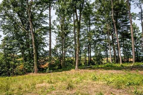 0 PINEY WOODS RD, TIMBERVILLE, VA 22853