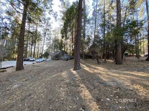 26305 Delano DR, Idyllwild, CA 92549