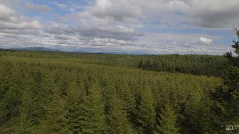 Tbd Badger Ridge Dr  Parcel 3, Orofino, ID 83544