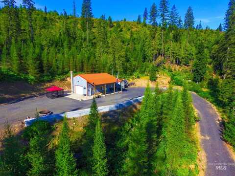 1499 Cold Springs Lane, Orofino, ID 83544