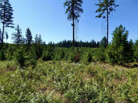 Tbd Peaceful Valley Rd Lots 7 & 8, Kamiah, ID 83536
