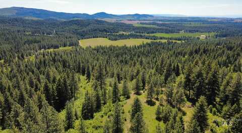 Tbd Smokey Bear Ln, Kendrick, ID 83537