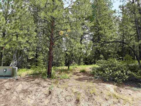 53 Landale Lane, Cascade, ID 83711