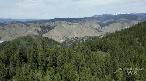 11 Golden Age Mine Rd, Idaho City, ID 83631