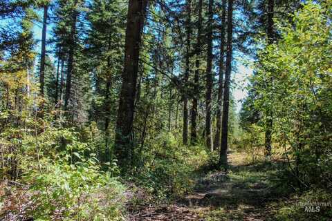 1204 Porcupine Road, Cascade, ID 83611