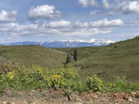 Tbd Upper Goodrich Cr, Council, ID 83612