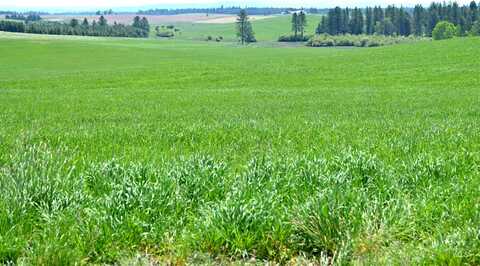 Tbd Stuart Rd., Orofino, ID 83544