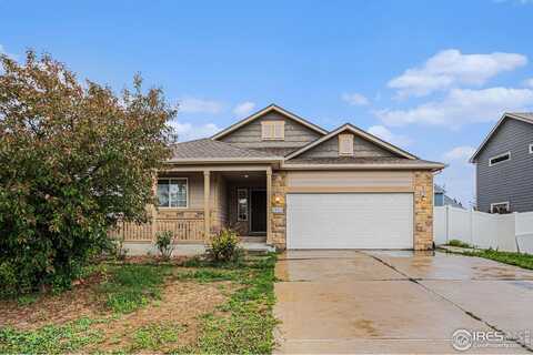 6925 Loudon St, Wellington, CO 80549