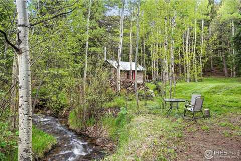 1632 Caribou Rd, Nederland, CO 80466