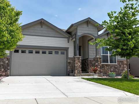 2093 Gather Ct, Windsor, CO 80550