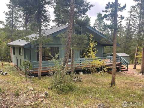 33 N Skinner Rd, Allenspark, CO 80510