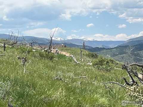 Horse Mountain Dr, Livermore, CO 80536