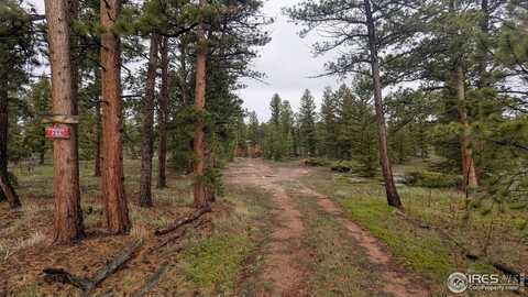 219 Yuki Dr, Red Feather Lakes, CO 80545