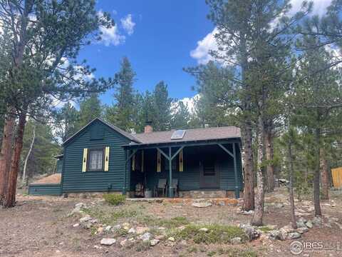 503 County Road 113N, Allenspark, CO 80510