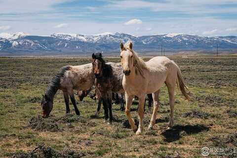 Jackson County Road 26, Walden, CO 80480
