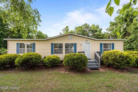 221 Cedar Hollow Court, Sneads Ferry, NC 28460