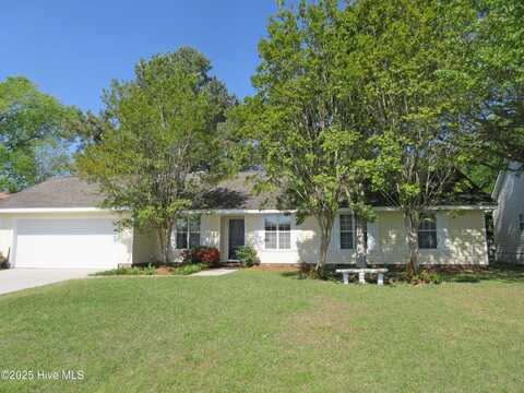 310 Celtic Ash Street, Sneads Ferry, NC 28460