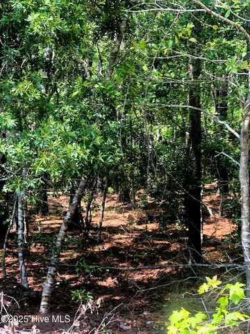 0 Roadrunner Lane, Holly Ridge, NC 28445
