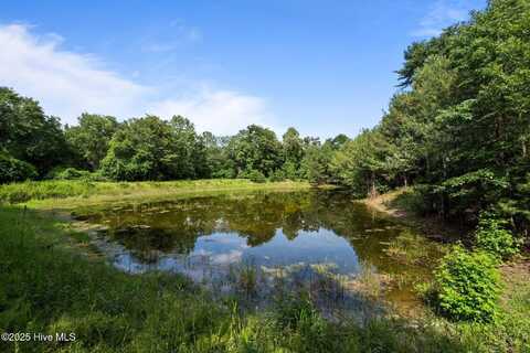 Tbd Remington Way, Richlands, NC 28574